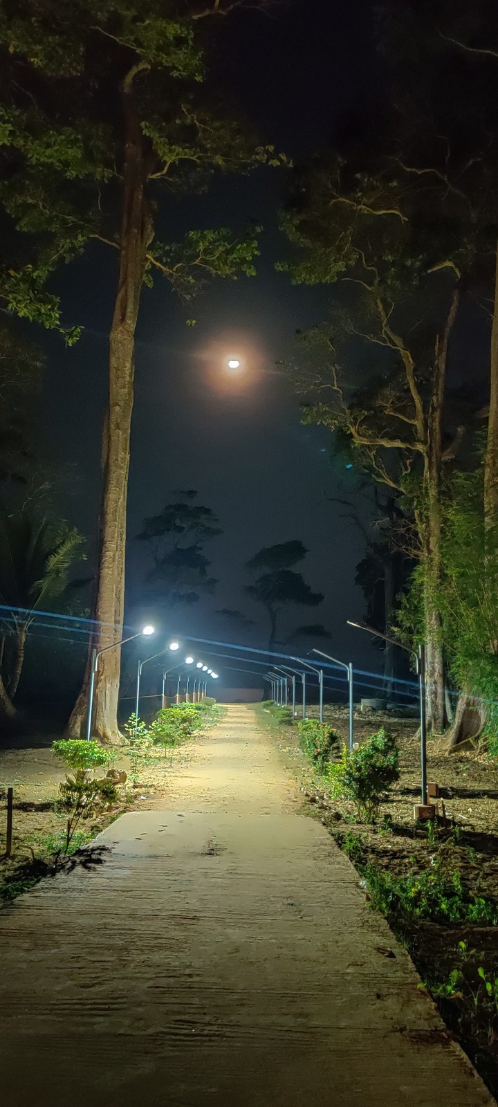 way to night, towards moon