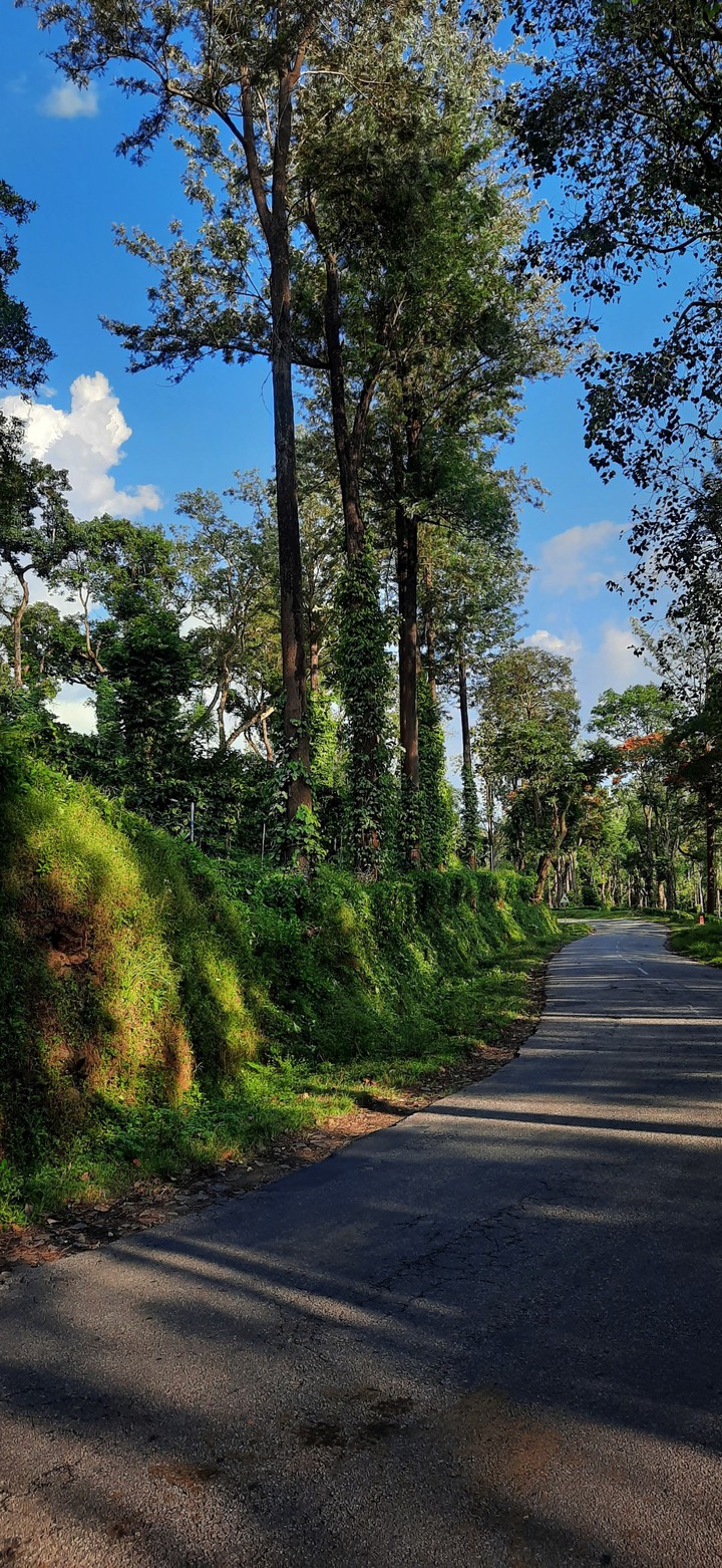 Roads