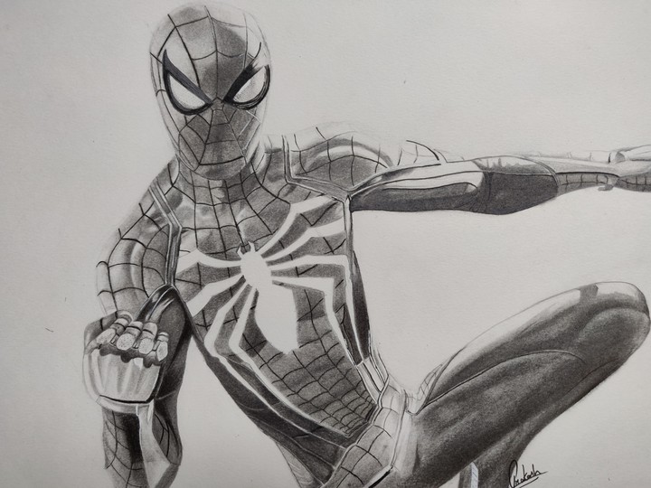 pencil sketch