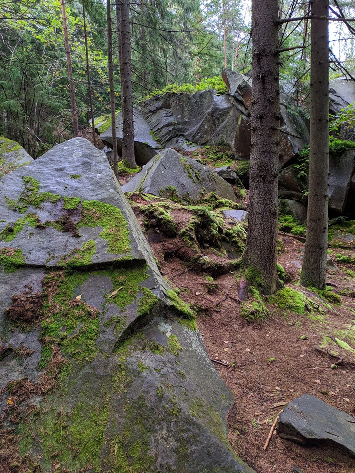 карпаты