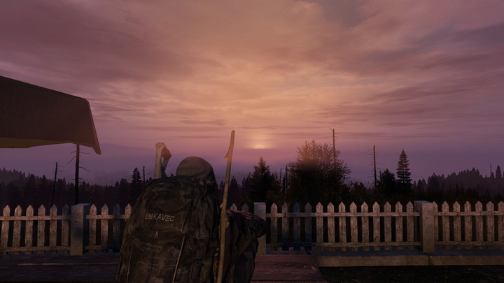 DayZ