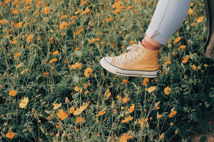 yellow. orange.