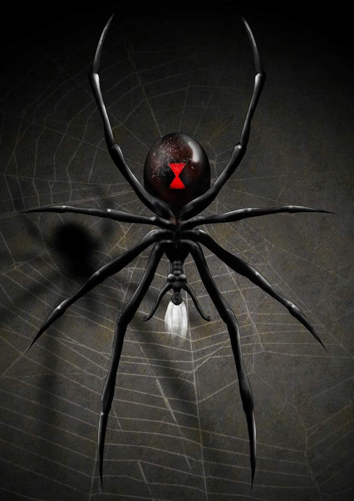 Black Spider