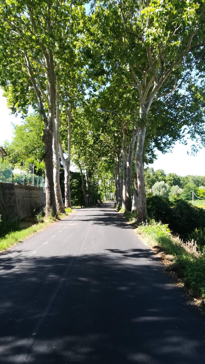 sulla via di casa