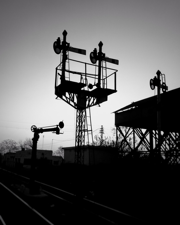 Machine Shadows