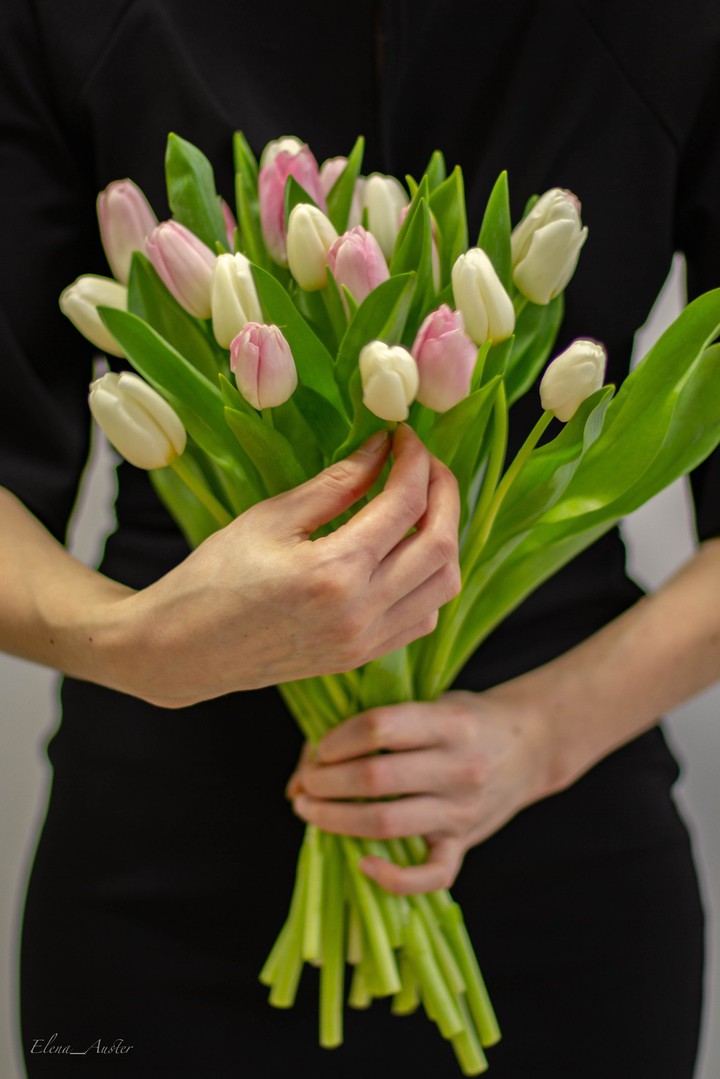 tulips