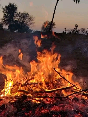 fire