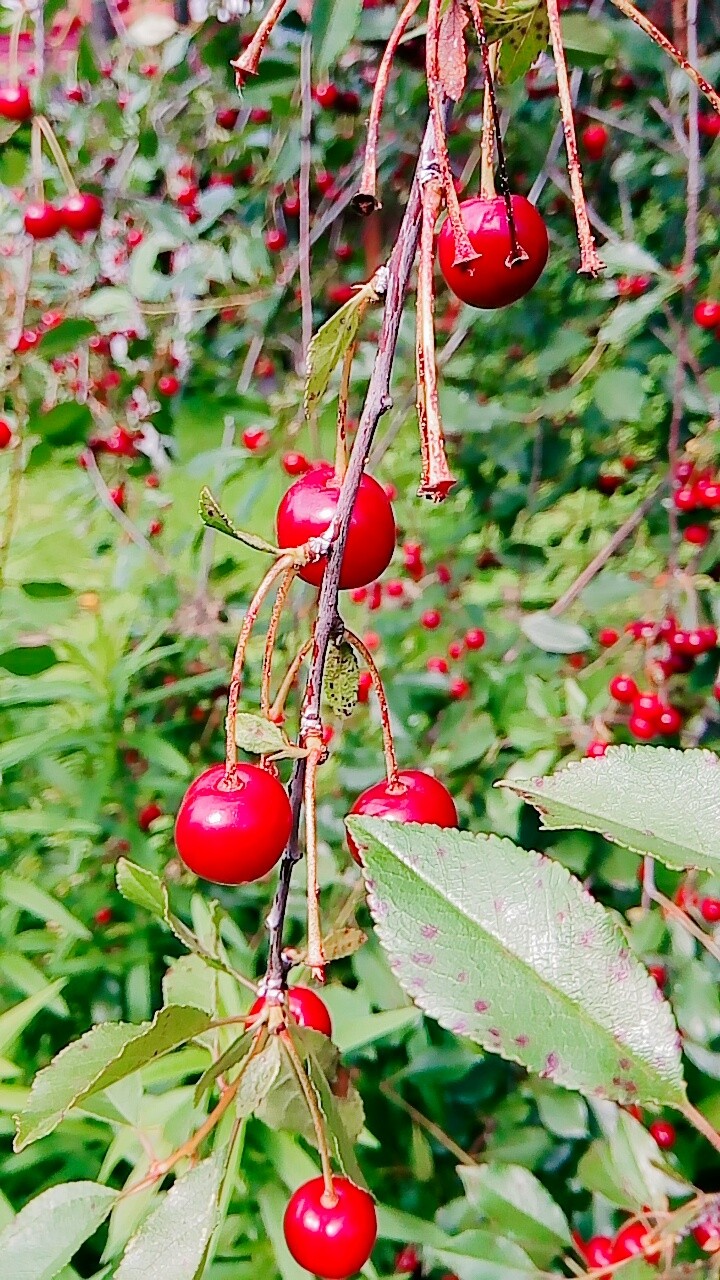 Красивенько