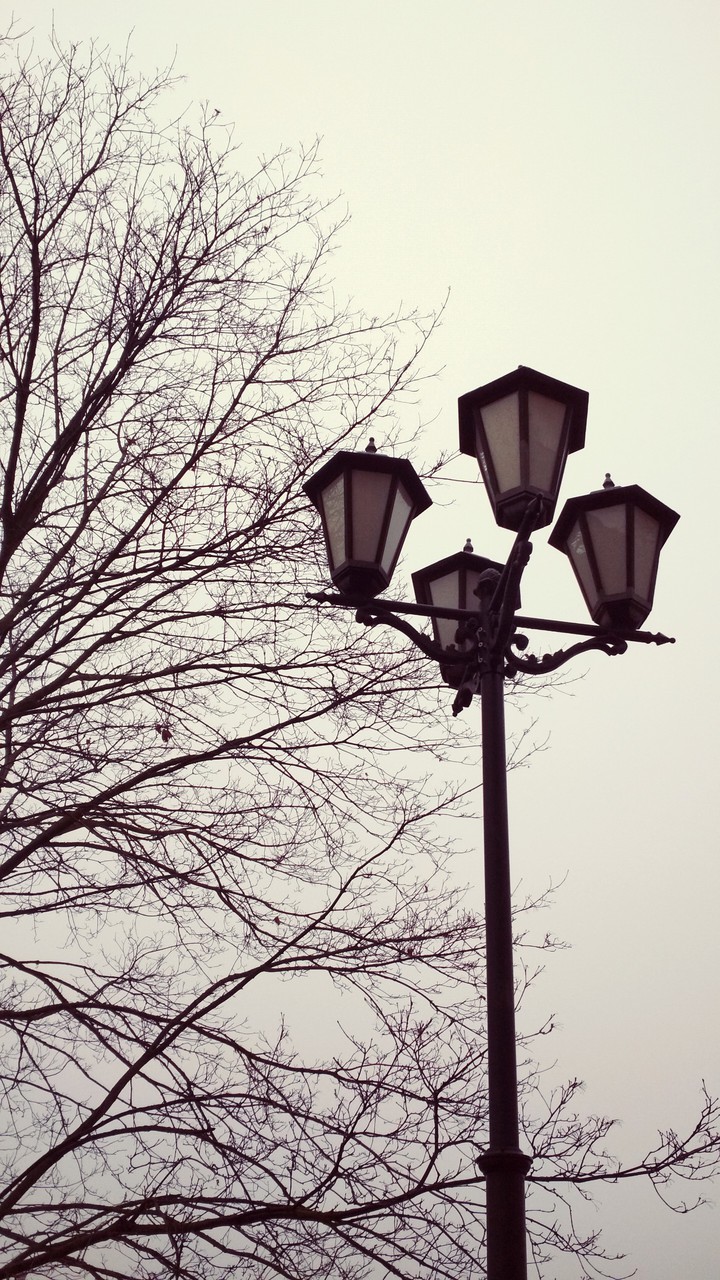 Cloudy evening