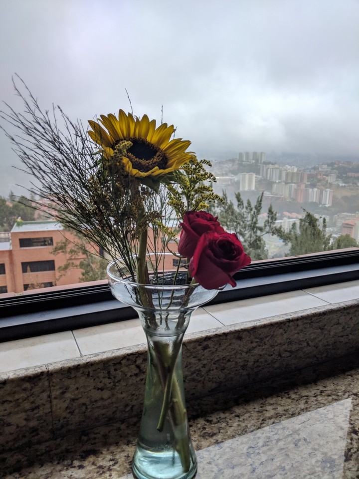 in to my windows