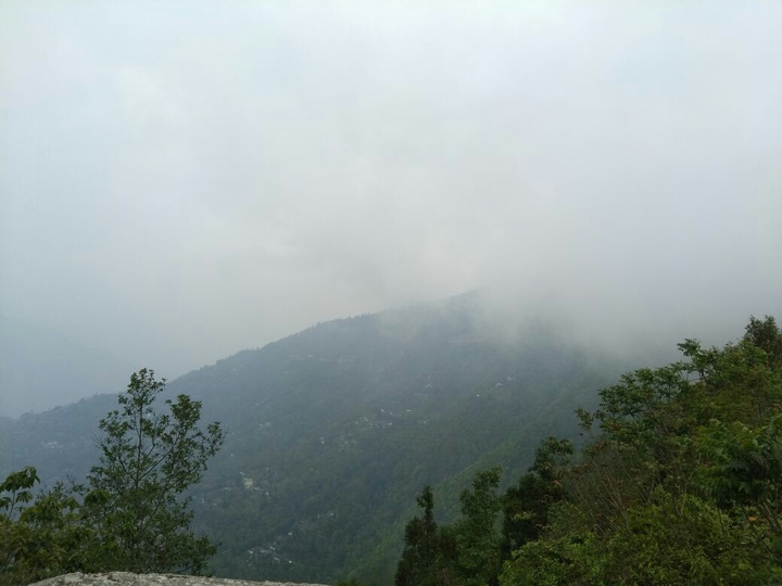 fogg