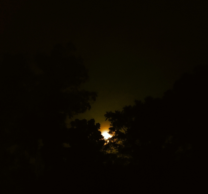 night moon?