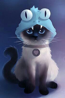 cats