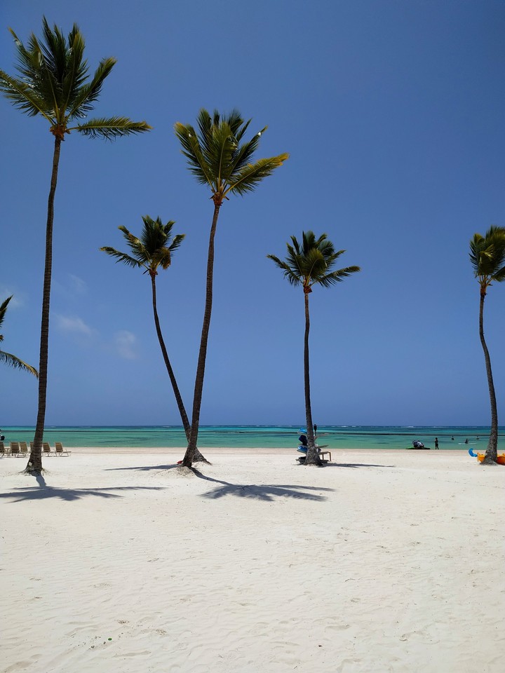 Paradise