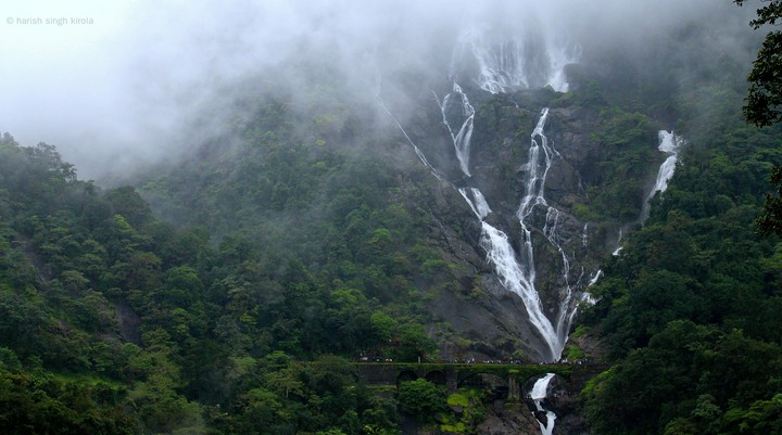 Doodhsagar