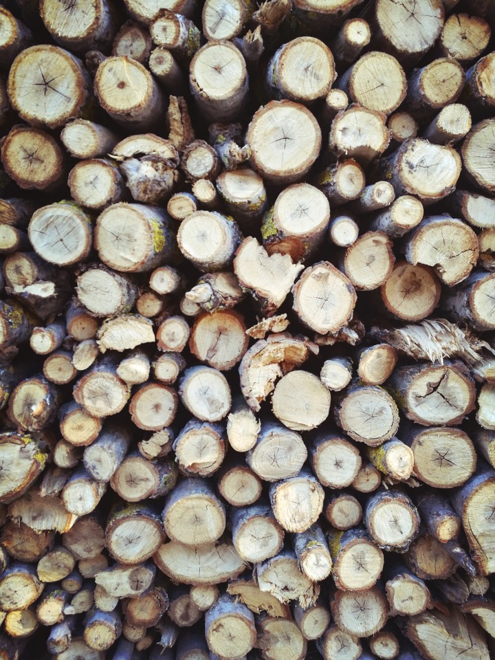 Winter Wood