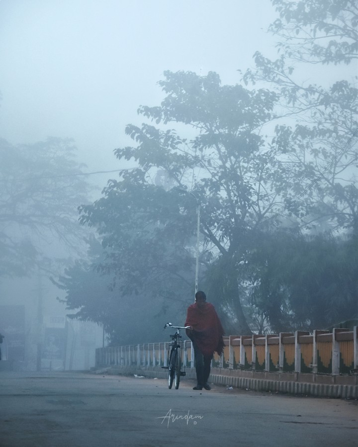 Foggy Morning 3