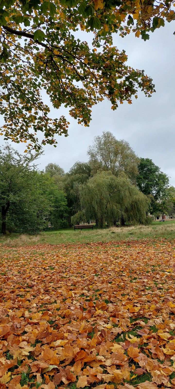 common views