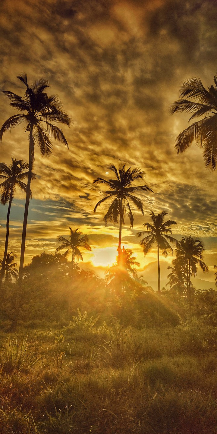 sun rise