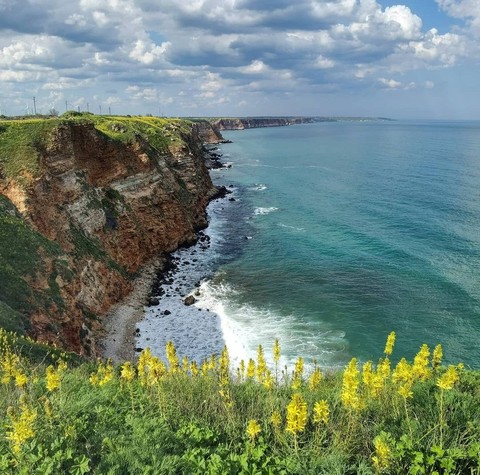 cloud, vegetation háttérképek