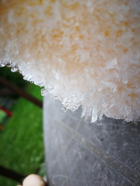 frozen