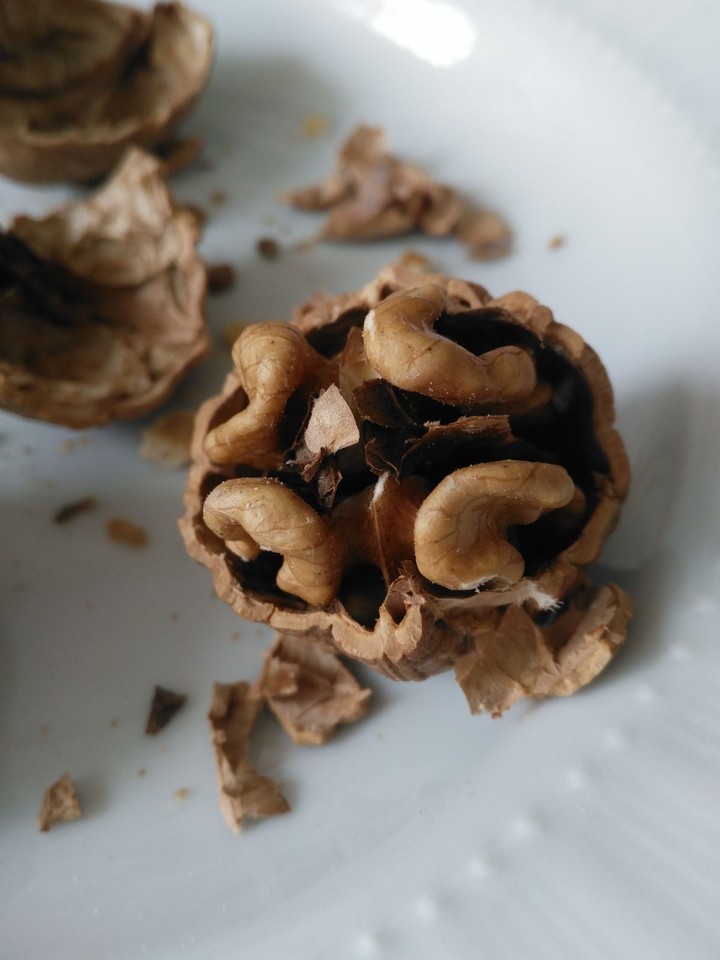 walnut