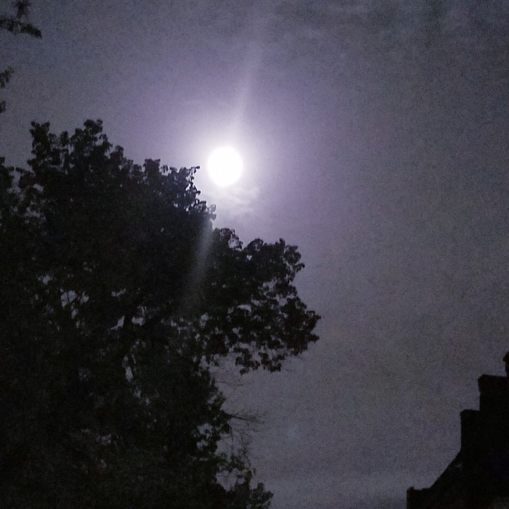 Blue Moon 5-18-19