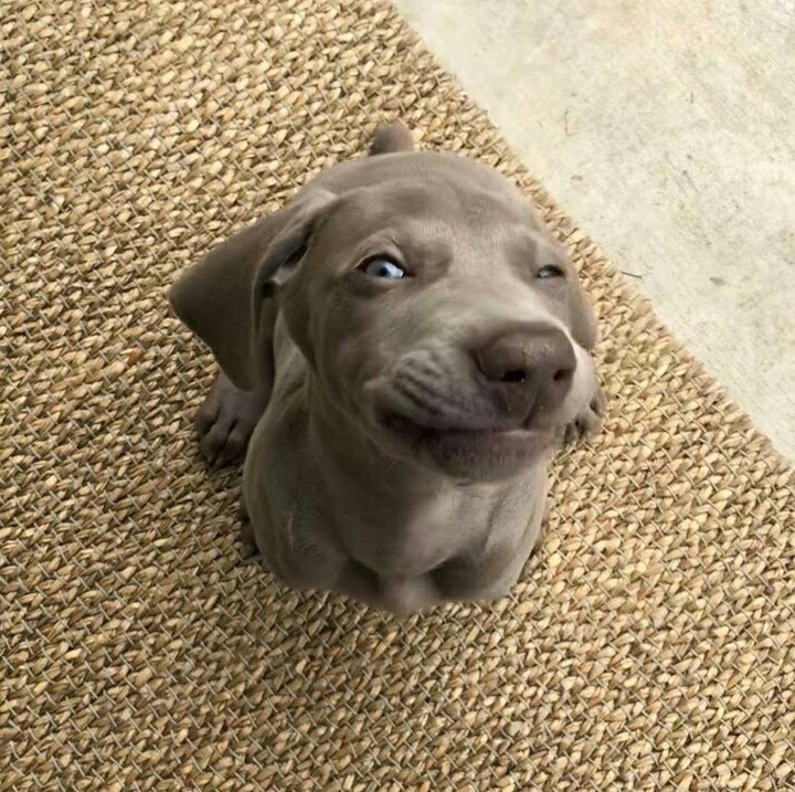 Hello everybody