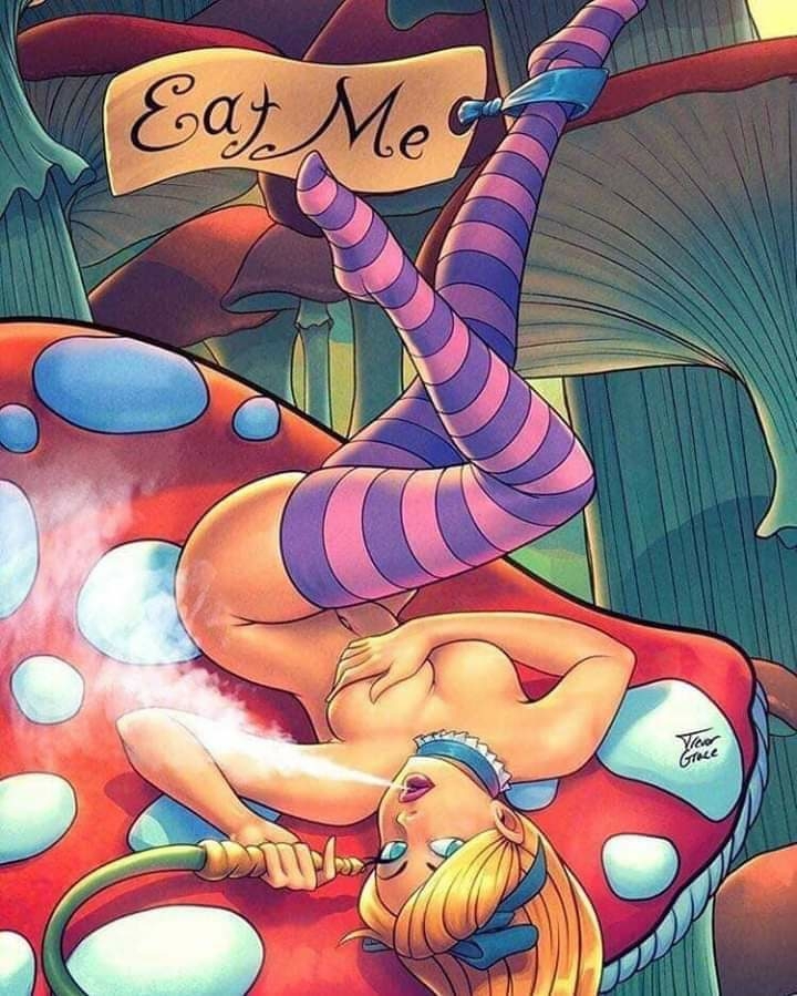 wonderland