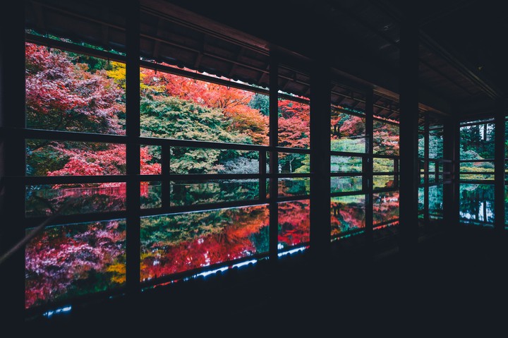 Autumn colors