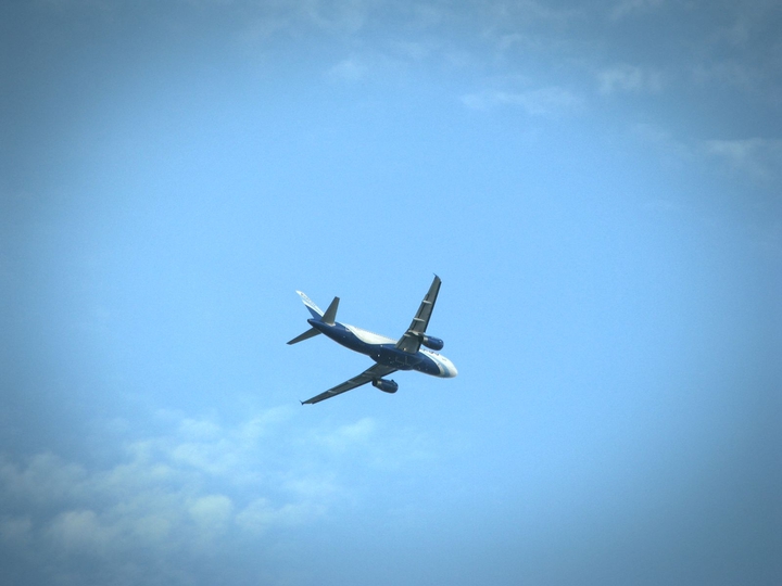 Fly