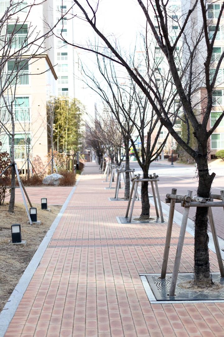풍경이미지