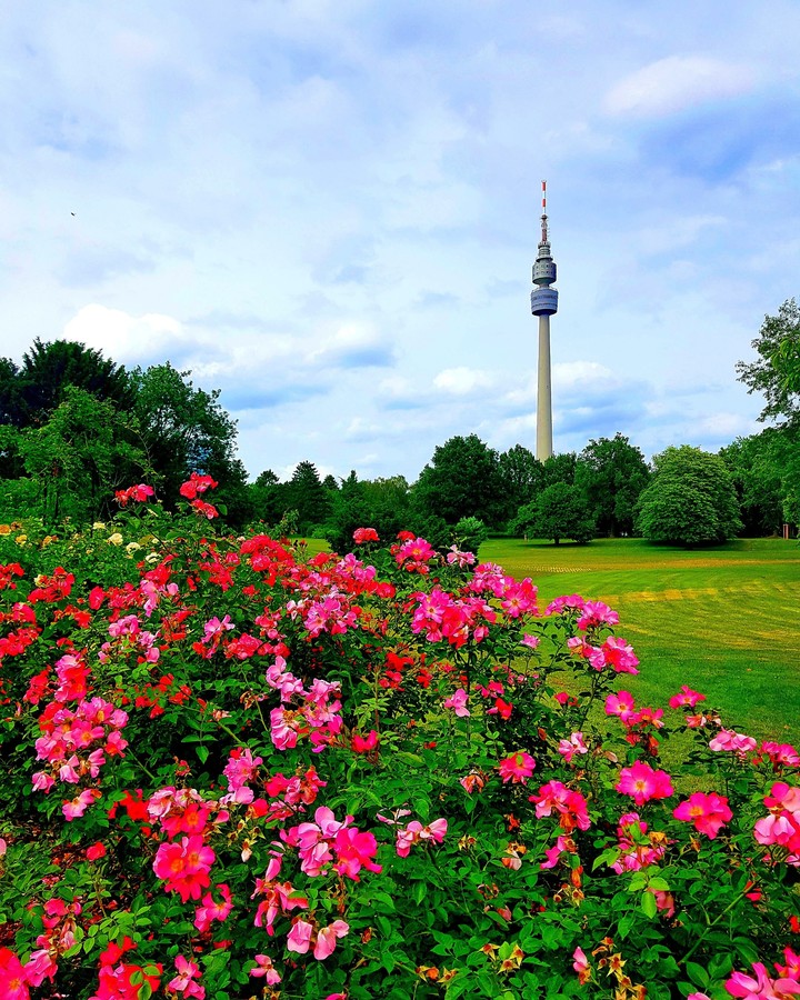 Westfalen Park in Dortmund