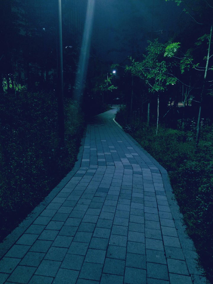어둠의길