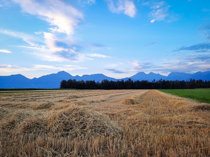 Field
