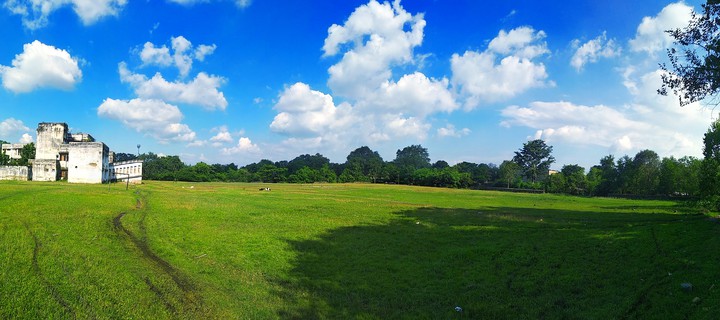 Sky And Grass