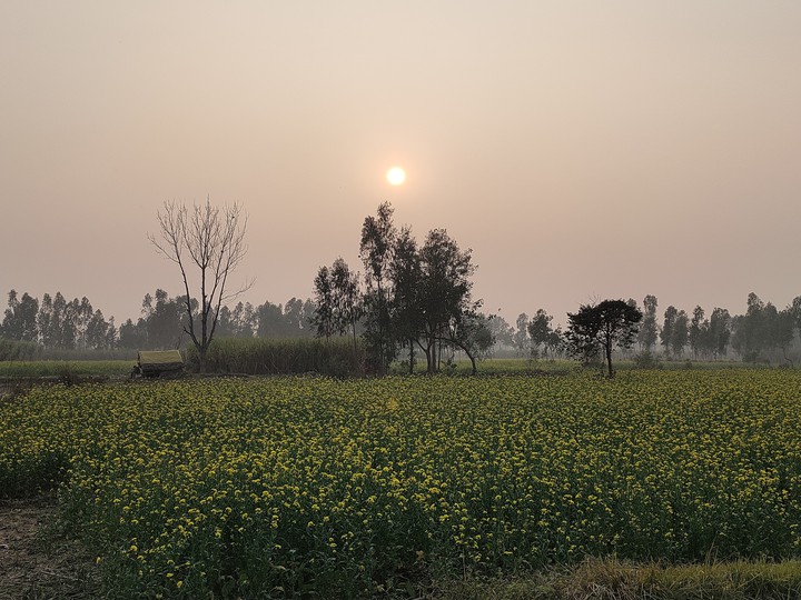 Sunset in Winters - India