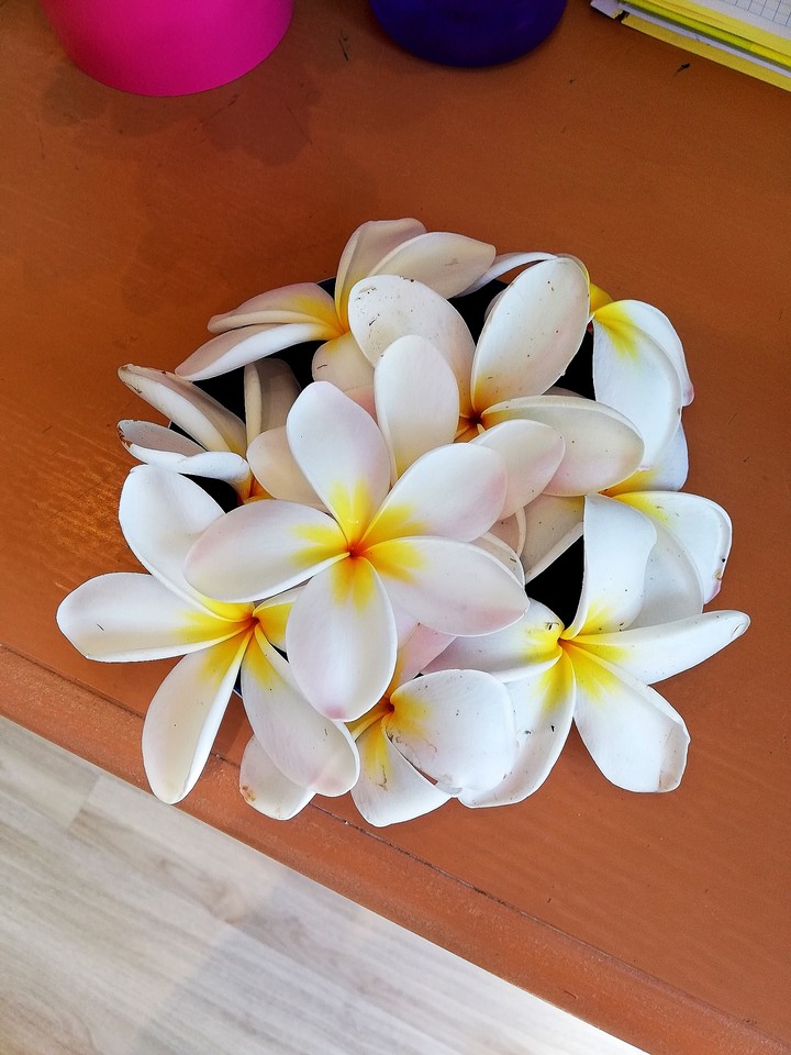 Monday with flowers