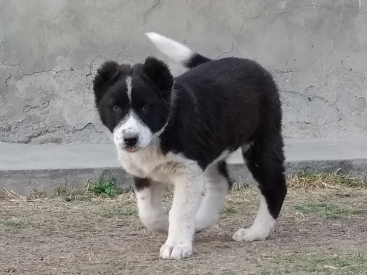 ?