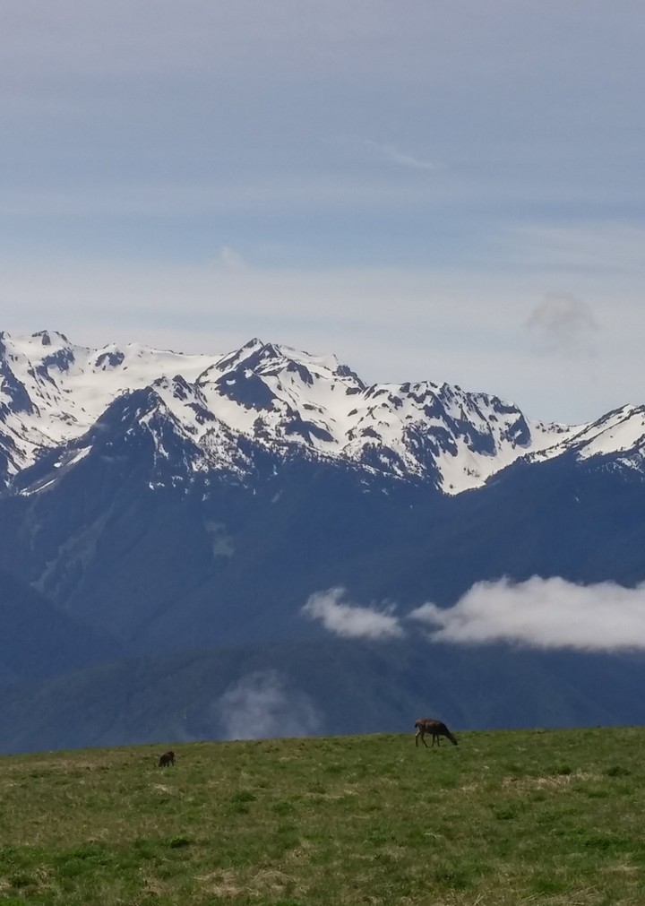 Beautiful in Washington state!