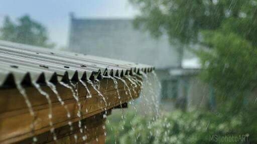 Rainfall