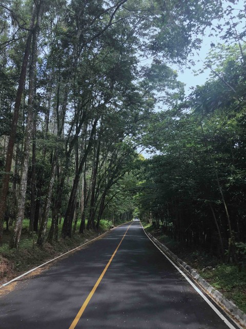 jarabacoa ❤️