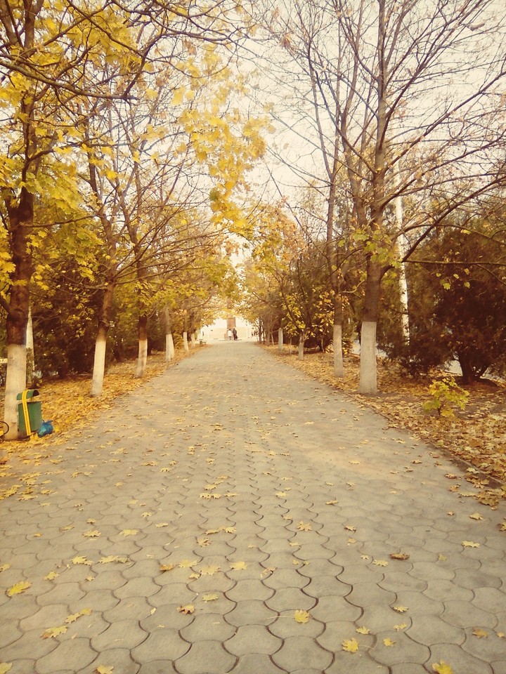 Осень