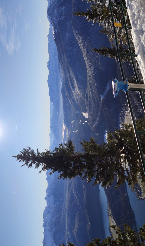 Alpi