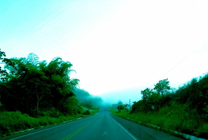 estrada e neblina