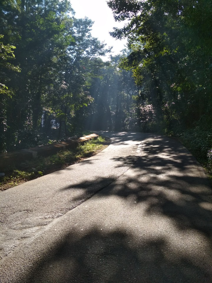Aruku