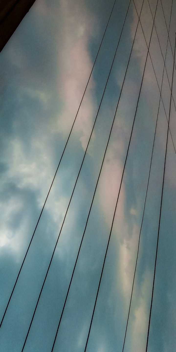 Wires