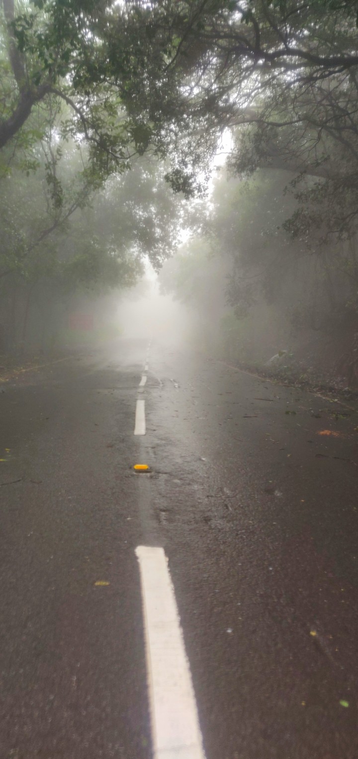 Dens Fog