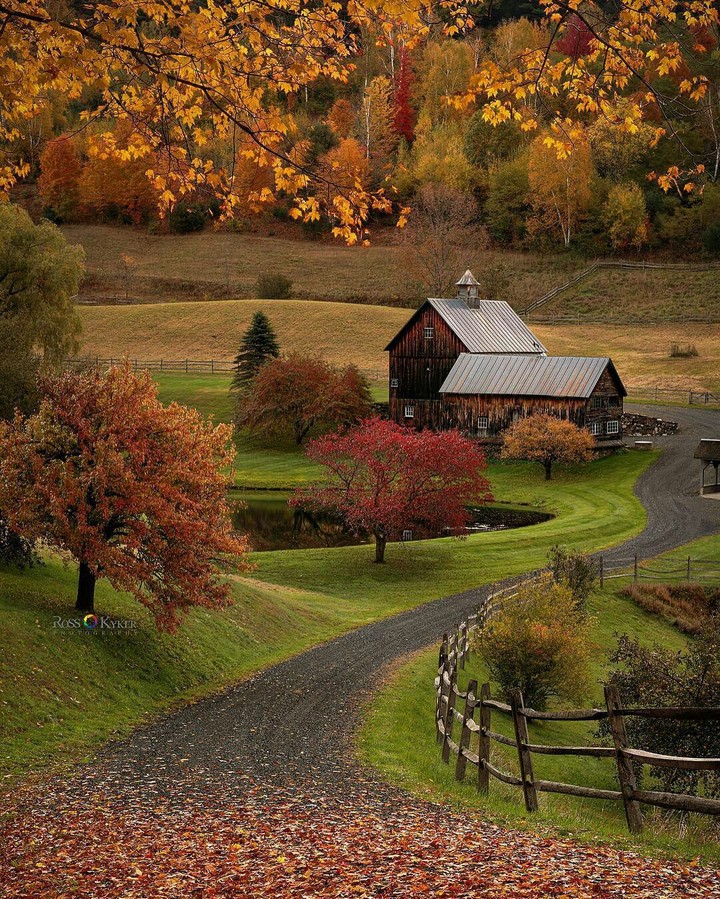 I wish I could live here
