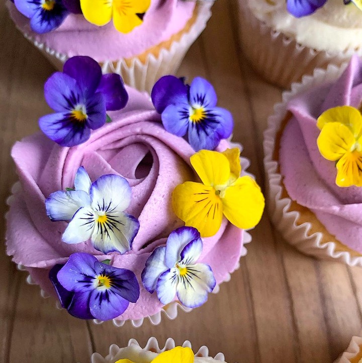 Cupcake